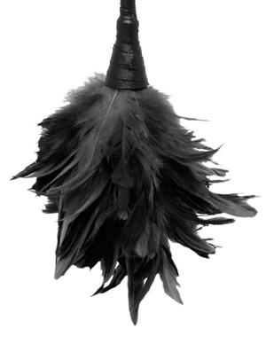 Frisky Feather Duster