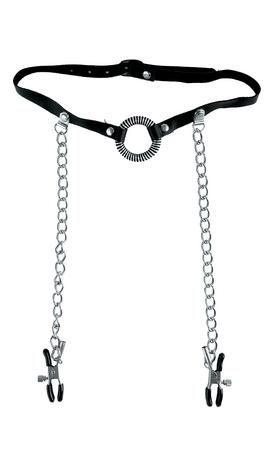 O-Ring & Nip Clamps