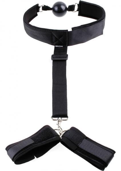 Gag & Wrist Restraint